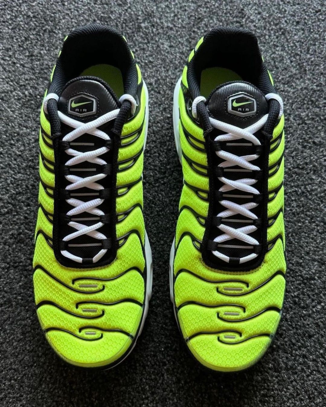 Nike Air Max Plus Sneakers
