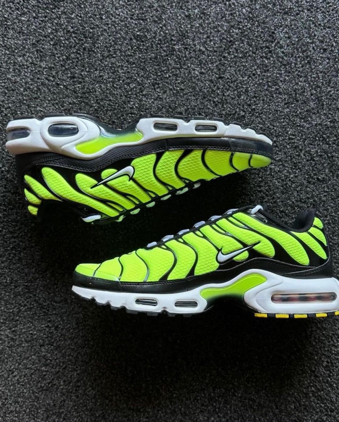 Nike Air Max Plus Sneakers