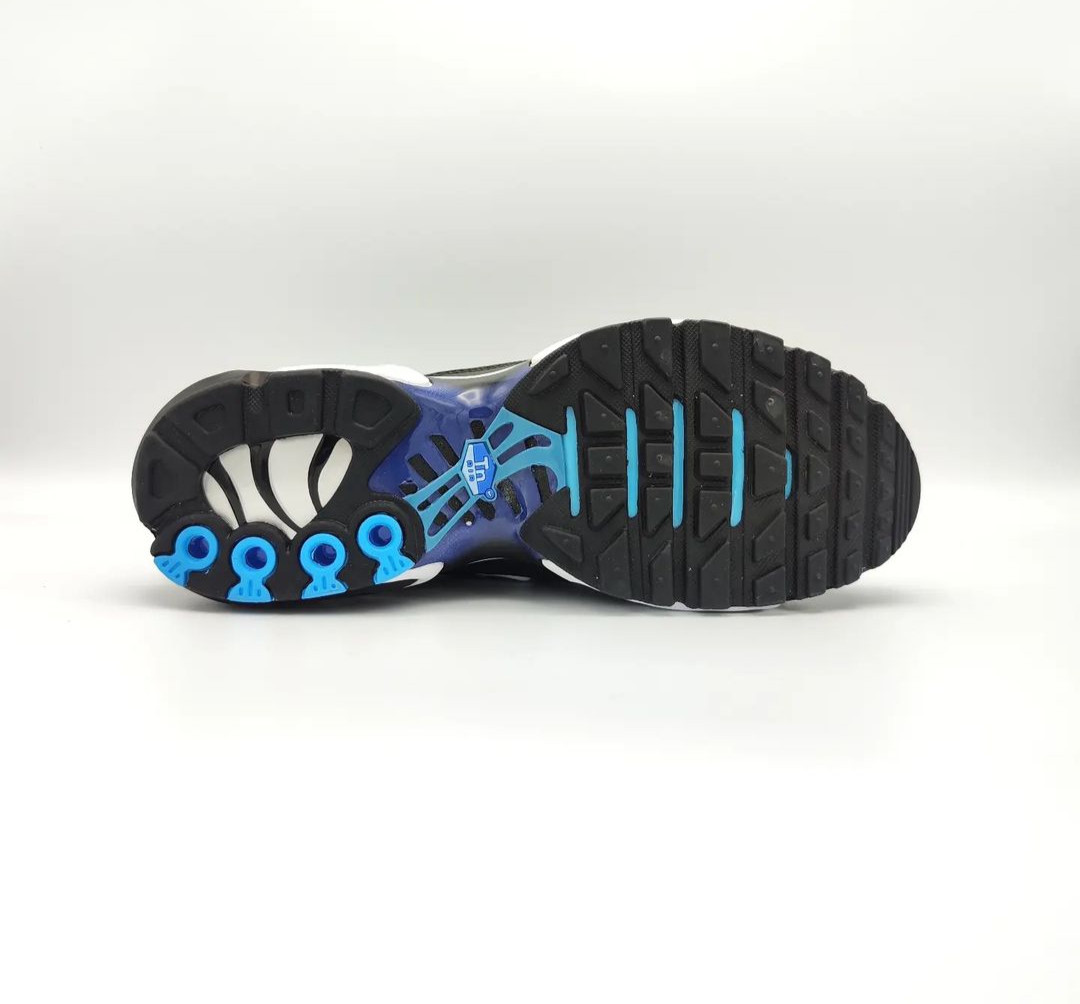 Blue Nike TN Sneakers