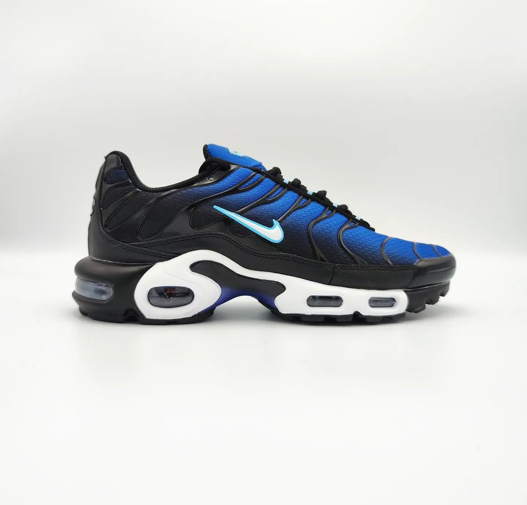 Blue Nike TN Sneakers