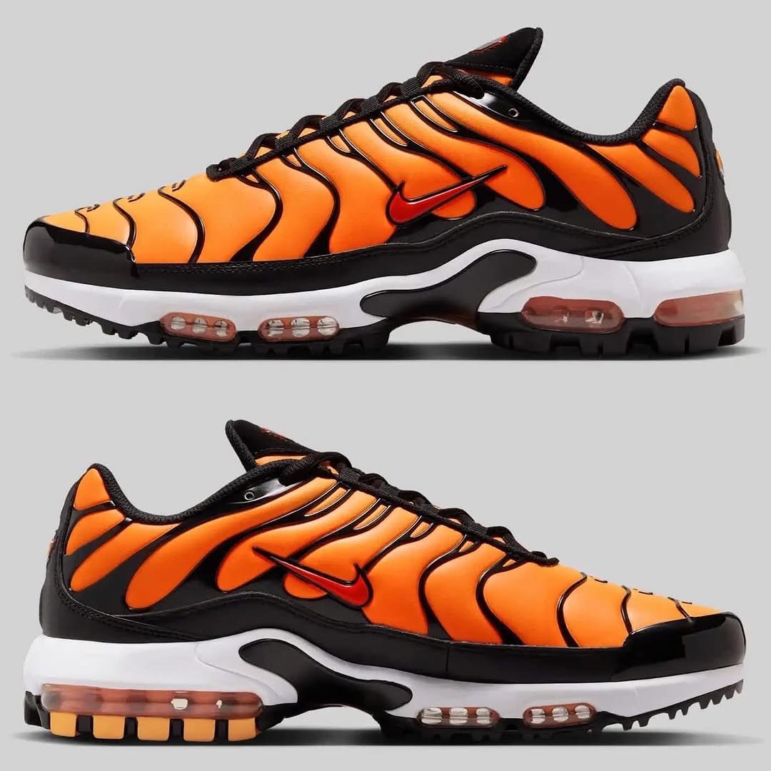 Nike Air Max Plus (Tn) Sneakers