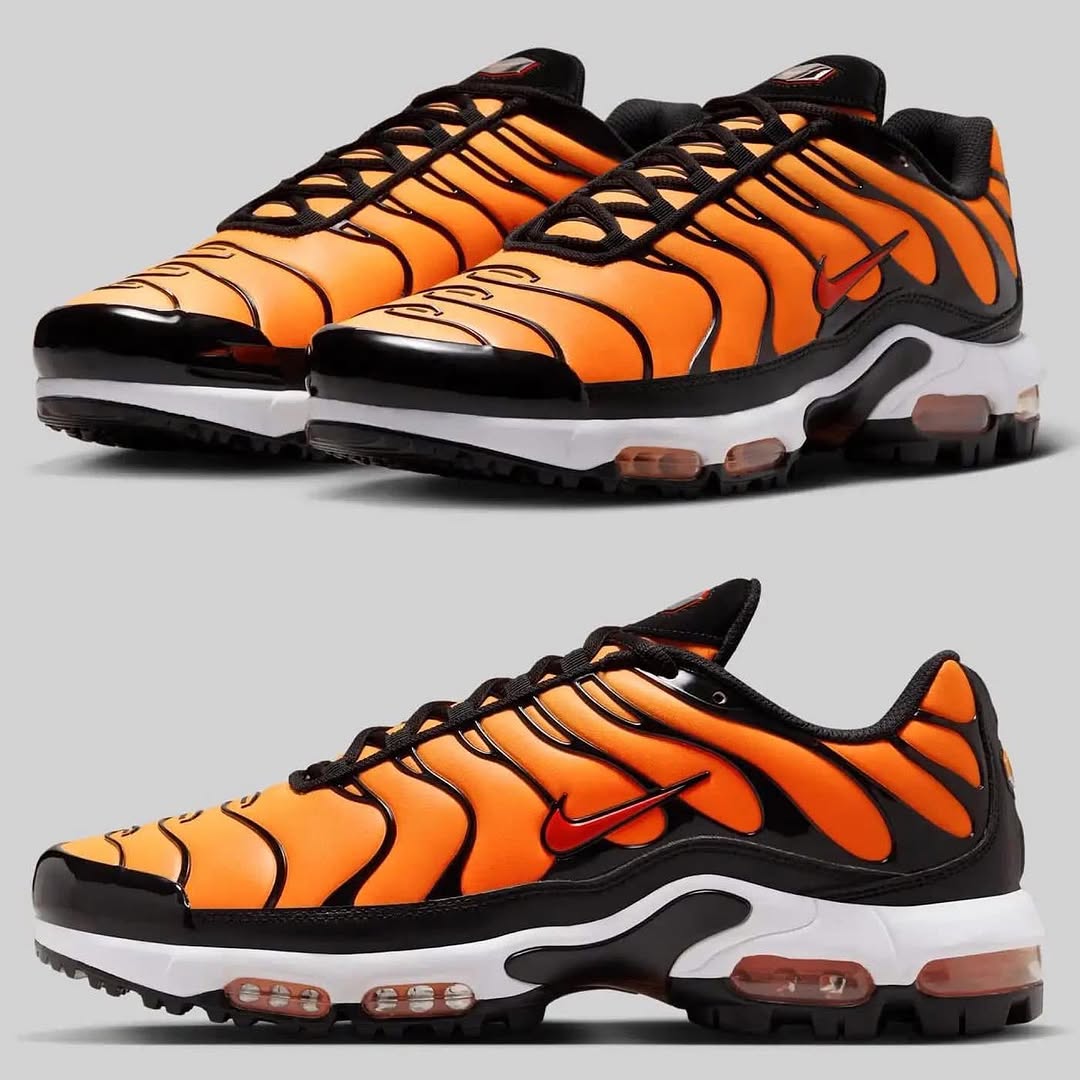 Nike Air Max Plus (Tn) Sneakers