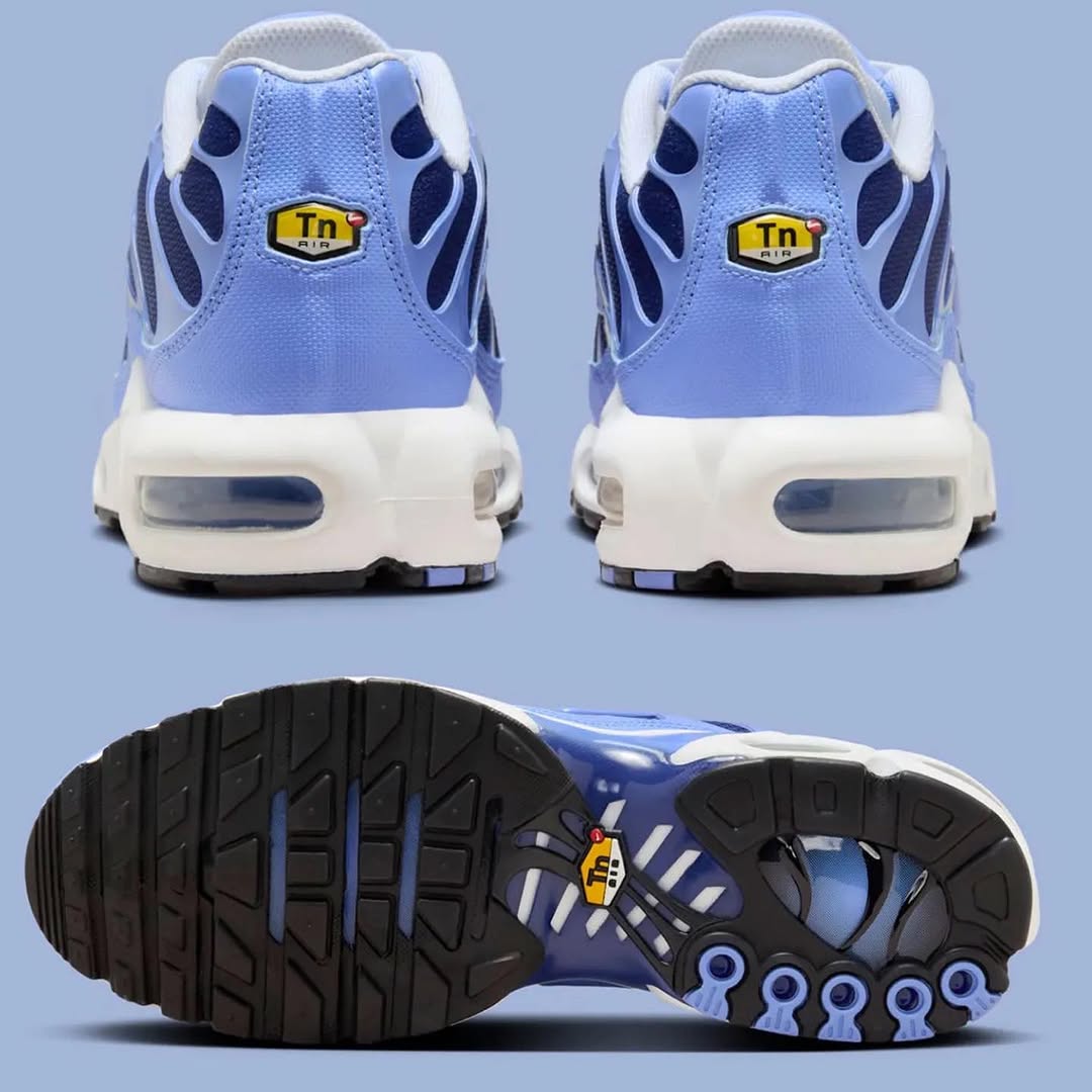 Nike Air Max Plus TN