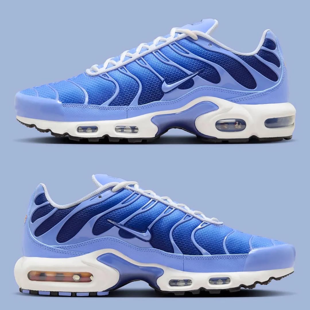 Nike Air Max Plus TN