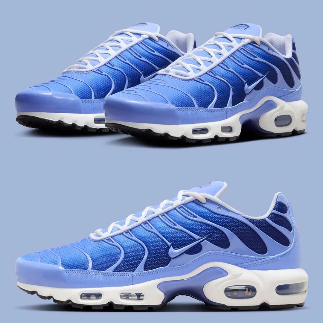 Nike Air Max Plus TN
