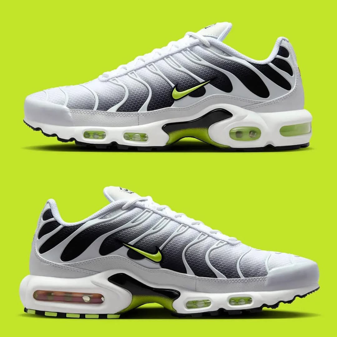 Nike Air Max Plus TN