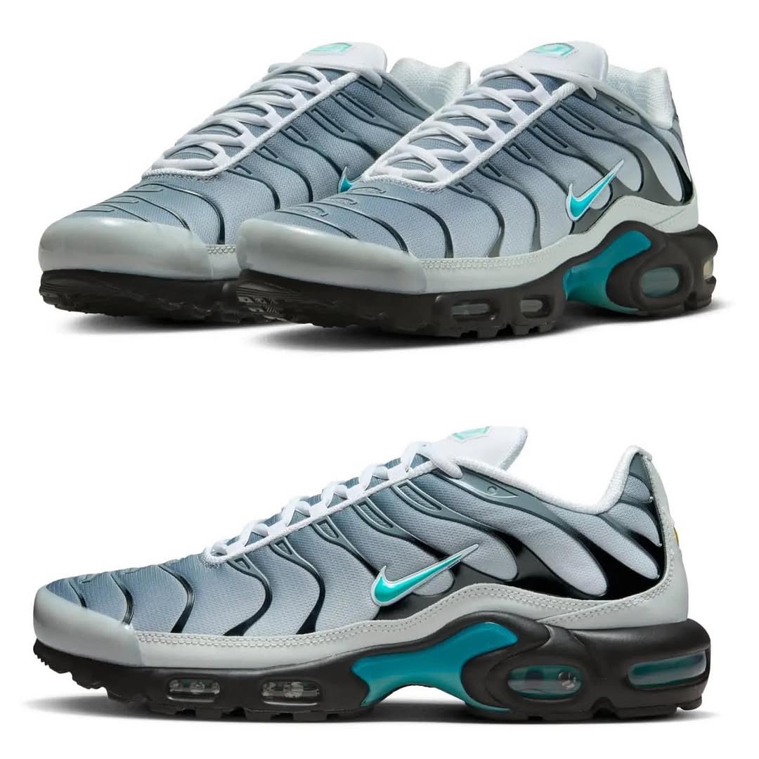 Nike TN Air Max Plus