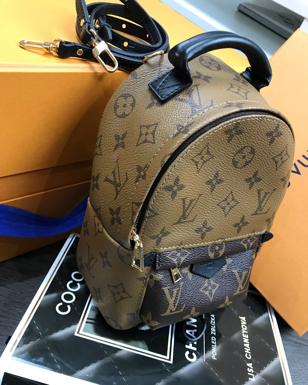 Louis Vuitton Backpack