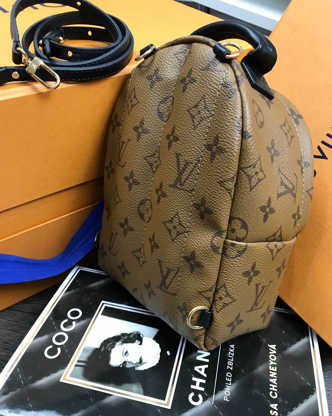 Louis Vuitton Backpack