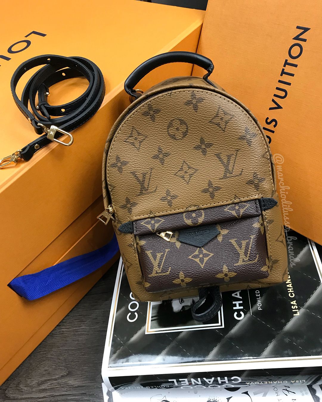 Louis Vuitton Backpack