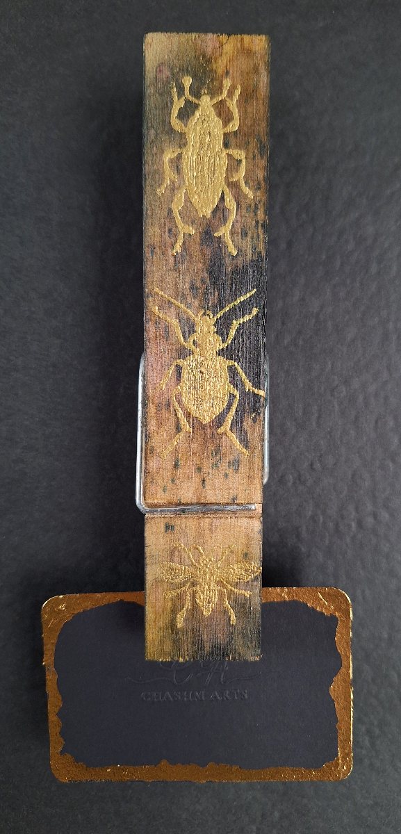 Jumbo Magnet Message Board Wooden Pegs- Various designs