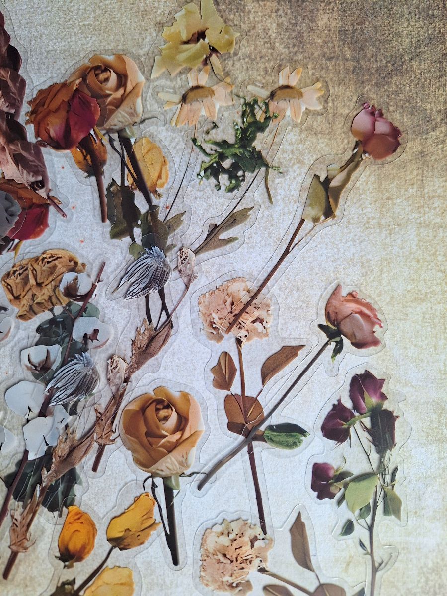 Dried Flower Sticker set