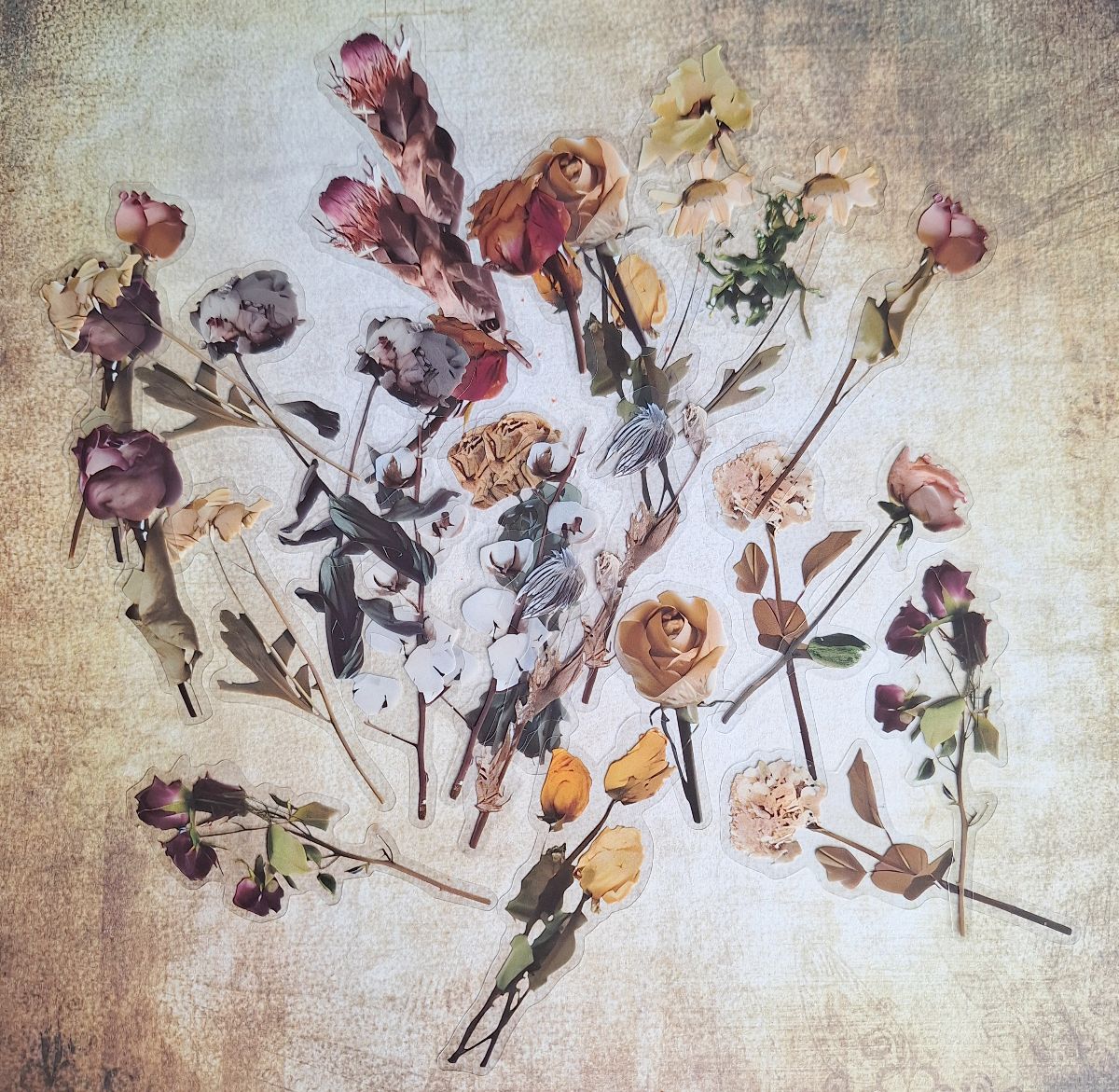 Dried Flower Sticker set