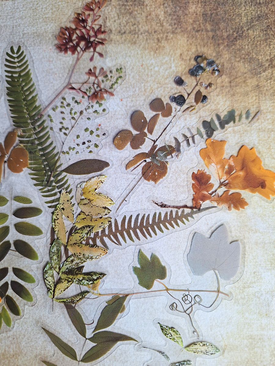 Fallen Leaves Sticker set
