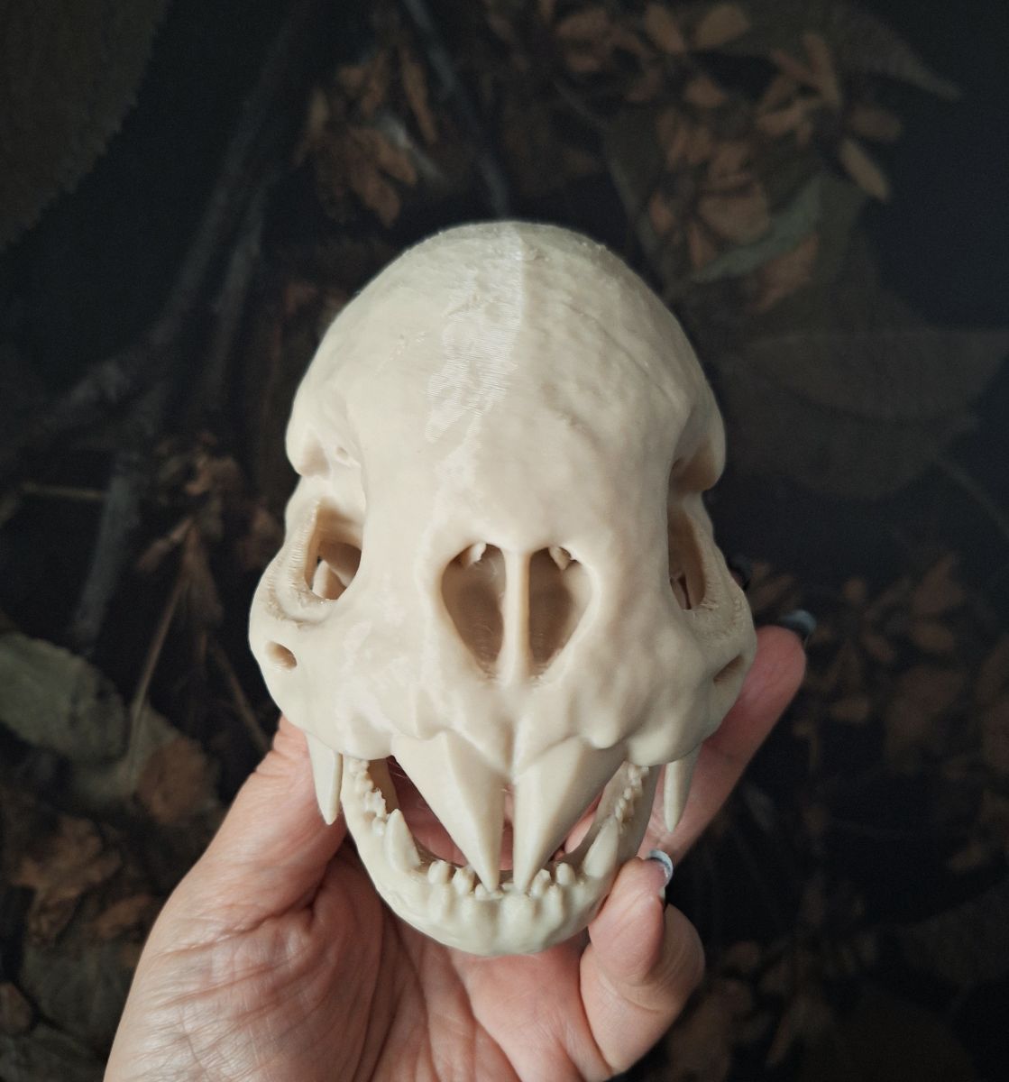 Vampire Bat Skull Replica - Large