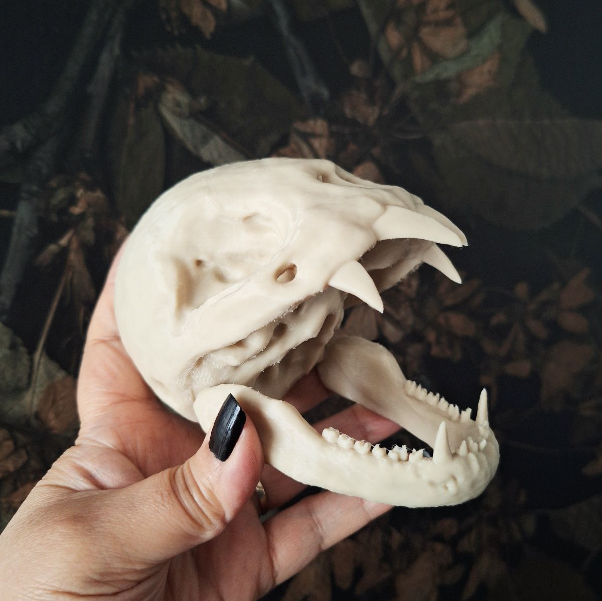 Vampire Bat Skull Replica - Large