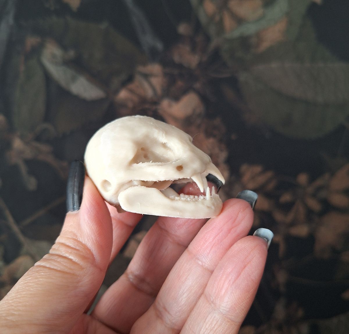 Vampire Bat Skull Replica - Life size