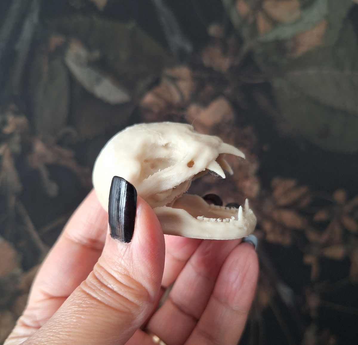 Vampire Bat Skull Replica - Life size