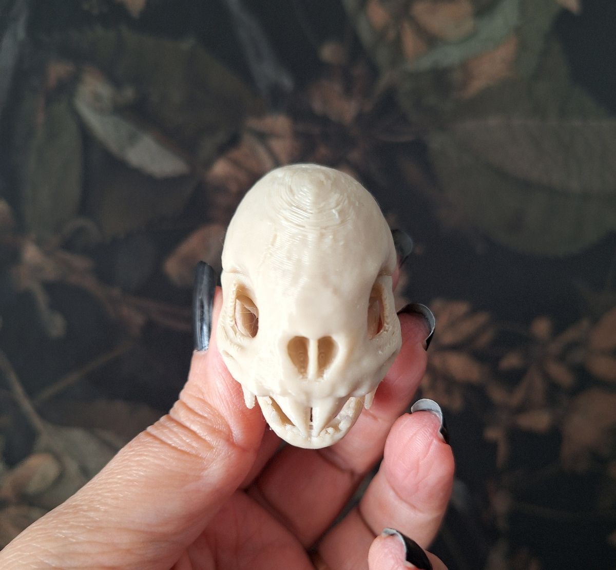 Vampire Bat Skull Replica - Life size