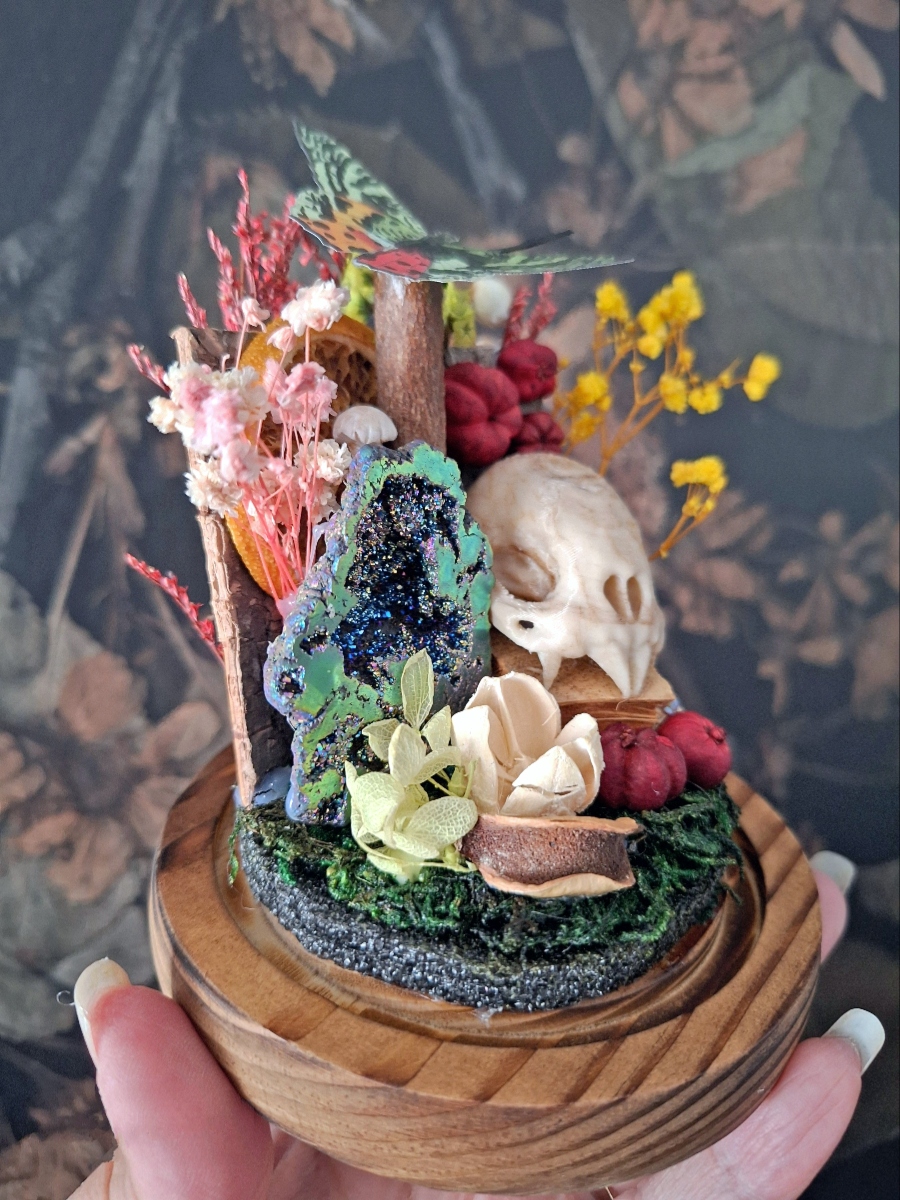 Echoes of Nature Cloche