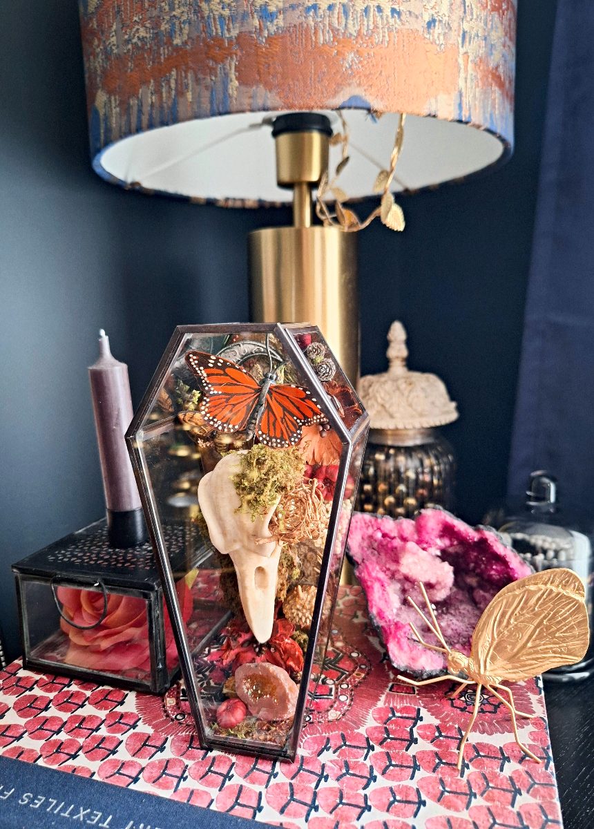 Memento Corvus Glass Coffin