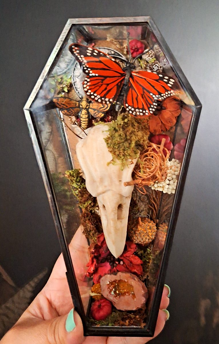 Memento Corvus Glass Coffin 