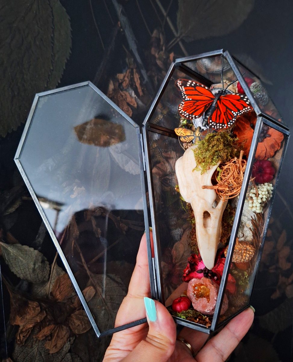 Memento Corvus Glass Coffin 