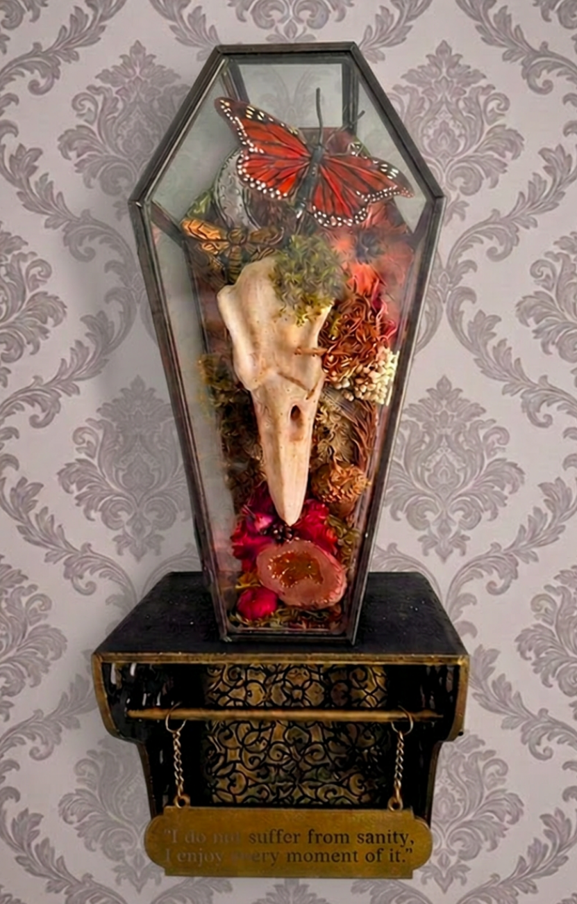 The Whispering Shelf - DIY Kit - Small