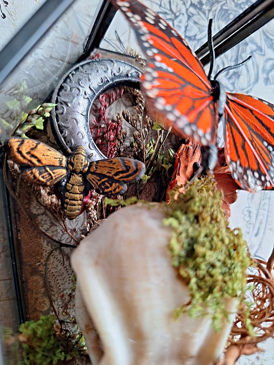 Memento Corvus Glass Coffin 