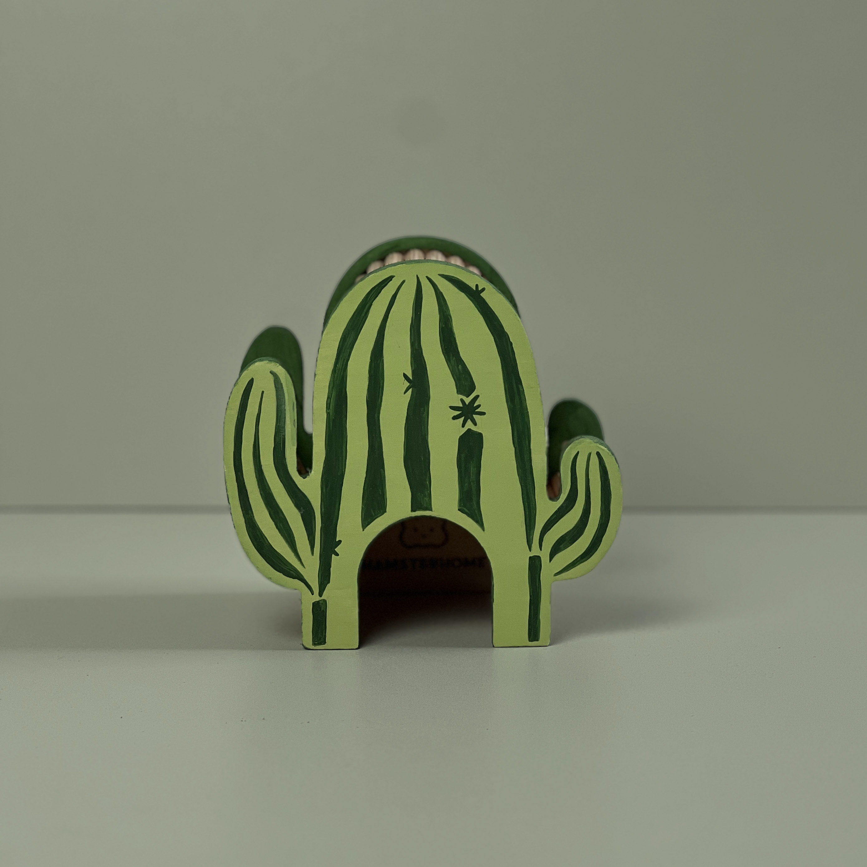 Kaktus Versteck