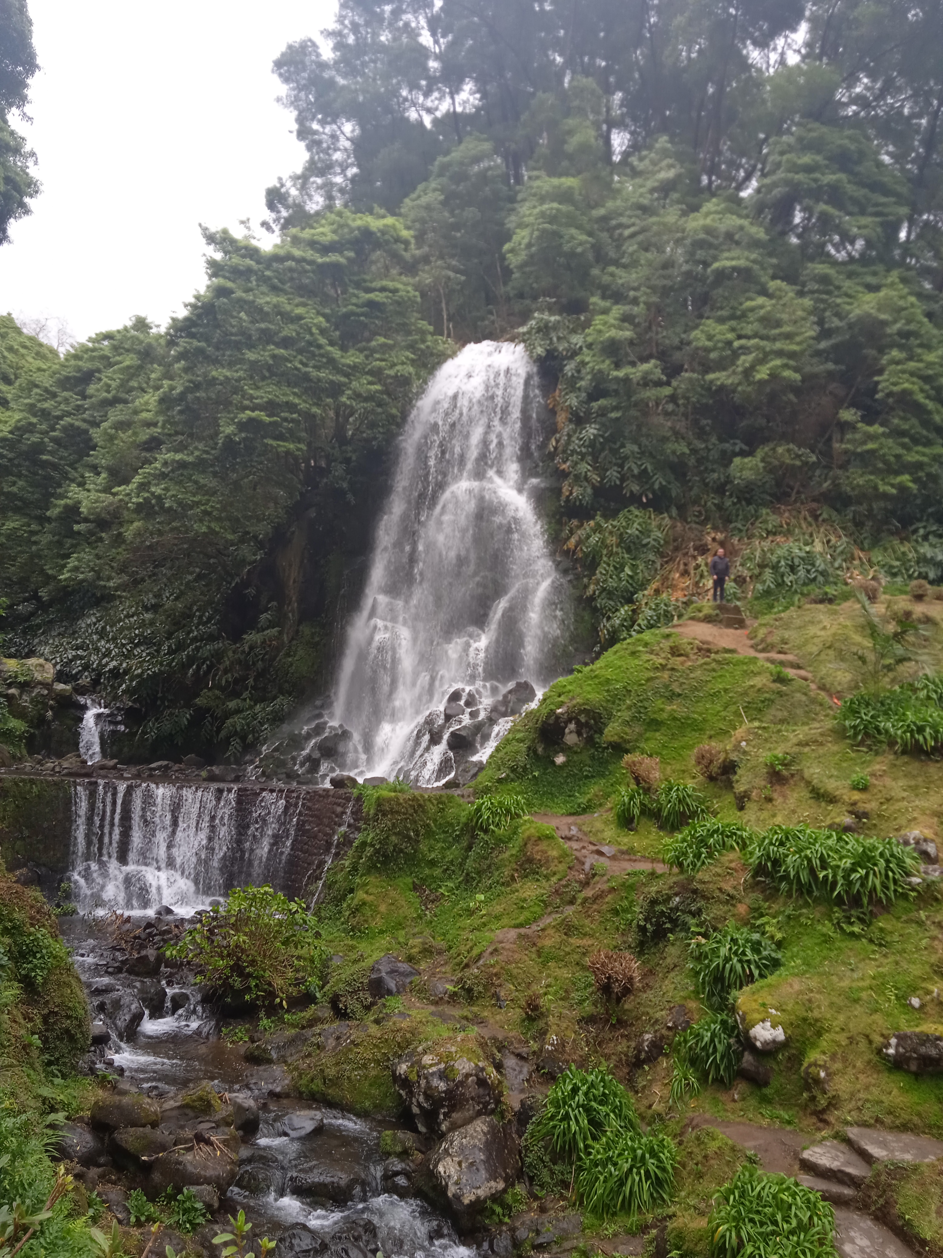 SÃO MIGUEL - AÇORES