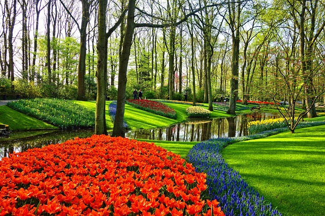 Holanda Florida