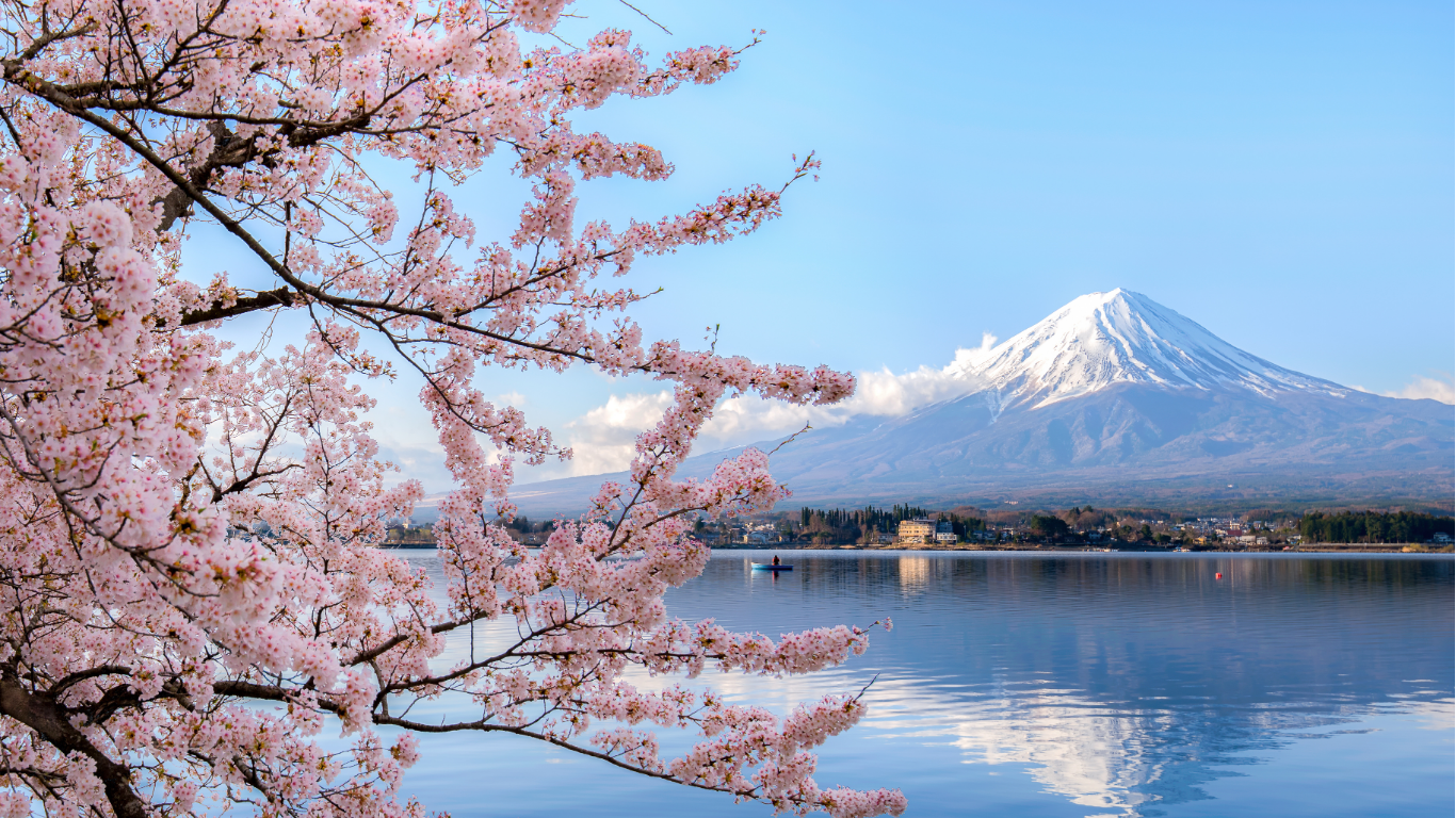 🌸 Japão 2026 – A Viagem dos Sentidos 