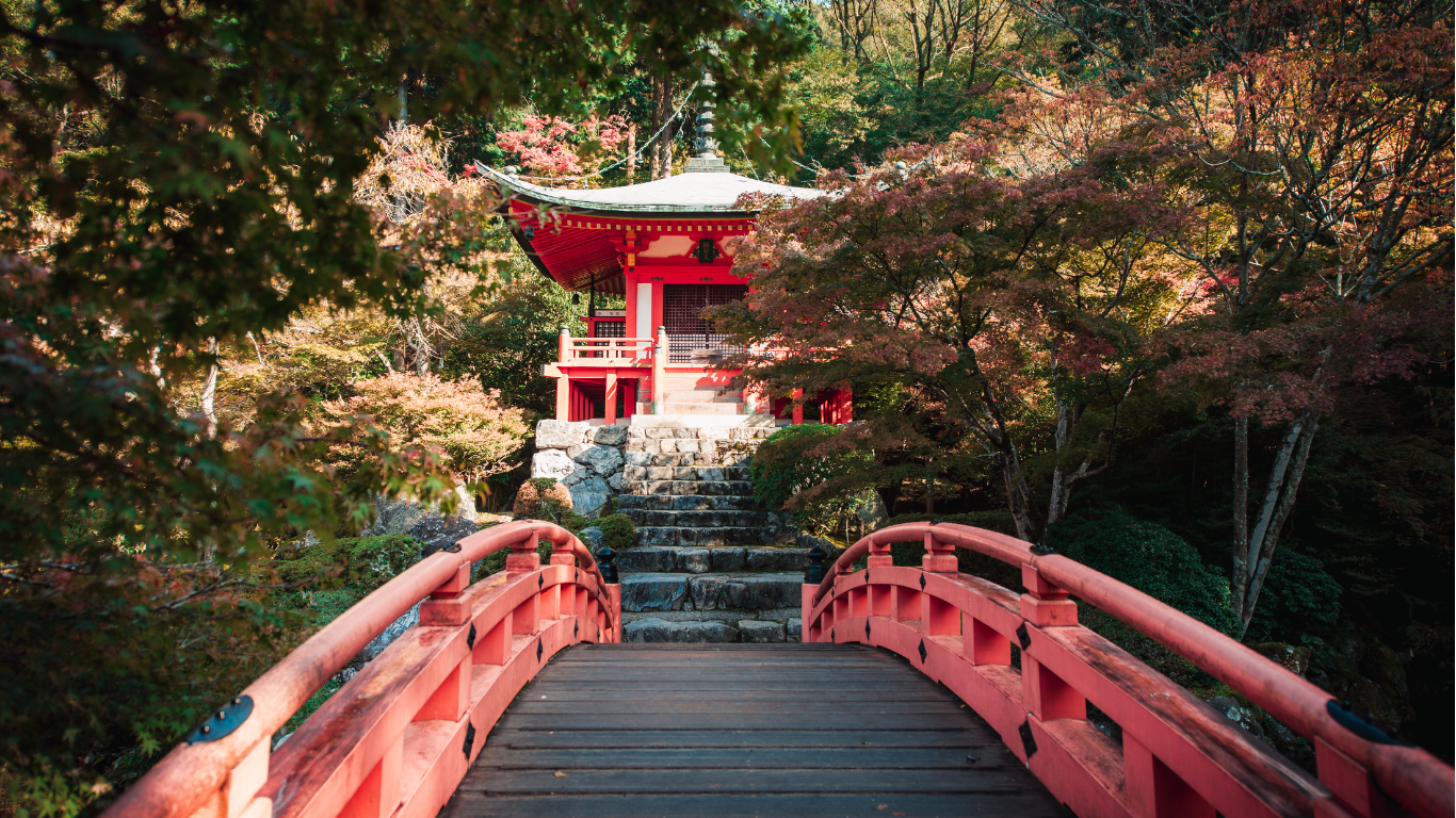 🌸 Japão 2026 – A Viagem dos Sentidos 