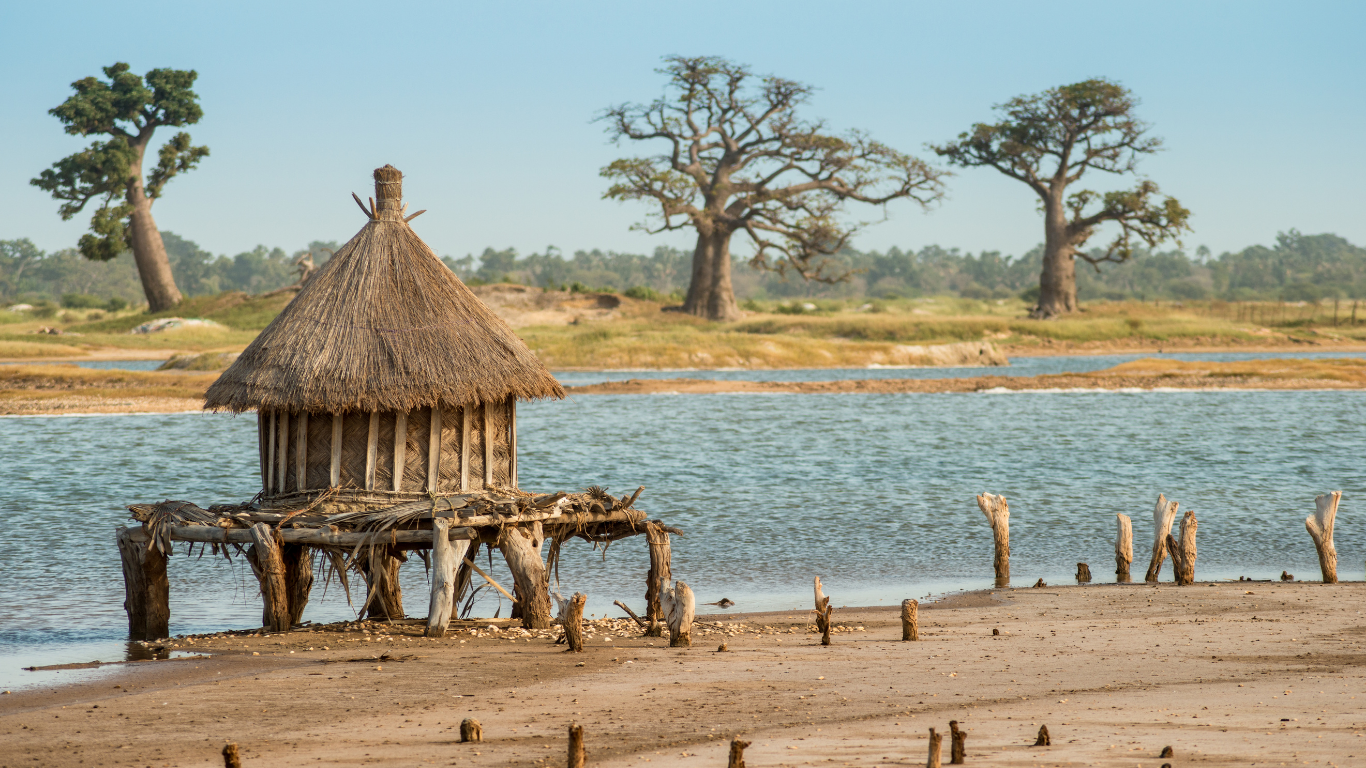 ✈️ Descubra o Senegal: Uma Aventura entre Cultura, Natureza e História!
