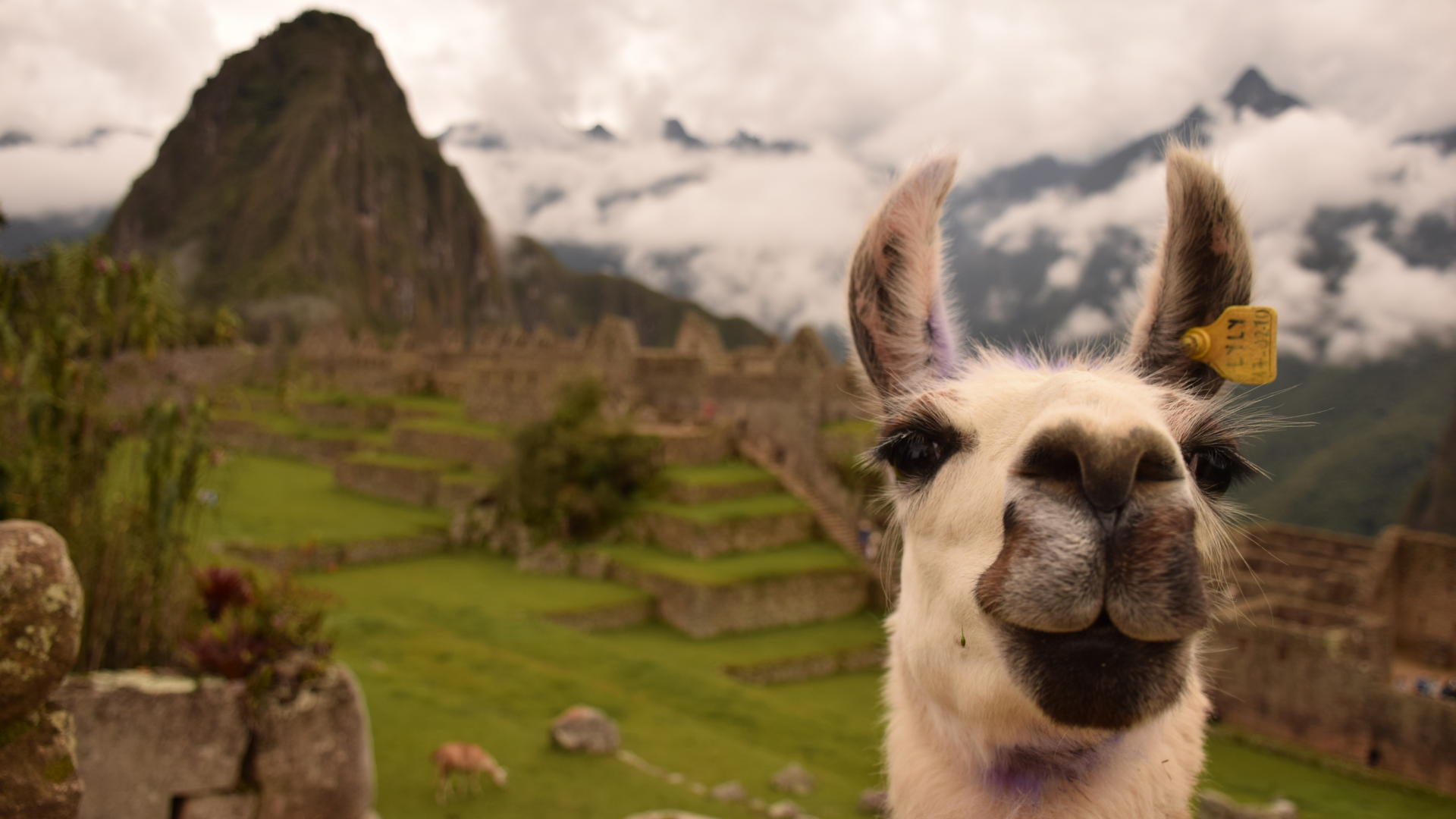 ✨ Peru de Maravilha – 8 Dias de Cultura, História e Emoção