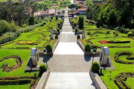 Magusto na Quinta da Malafaia 