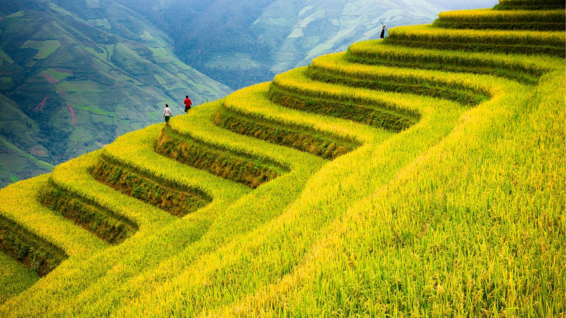 Aventura no Norte do Vietname – Uma viagem pelos tesouros escondidos