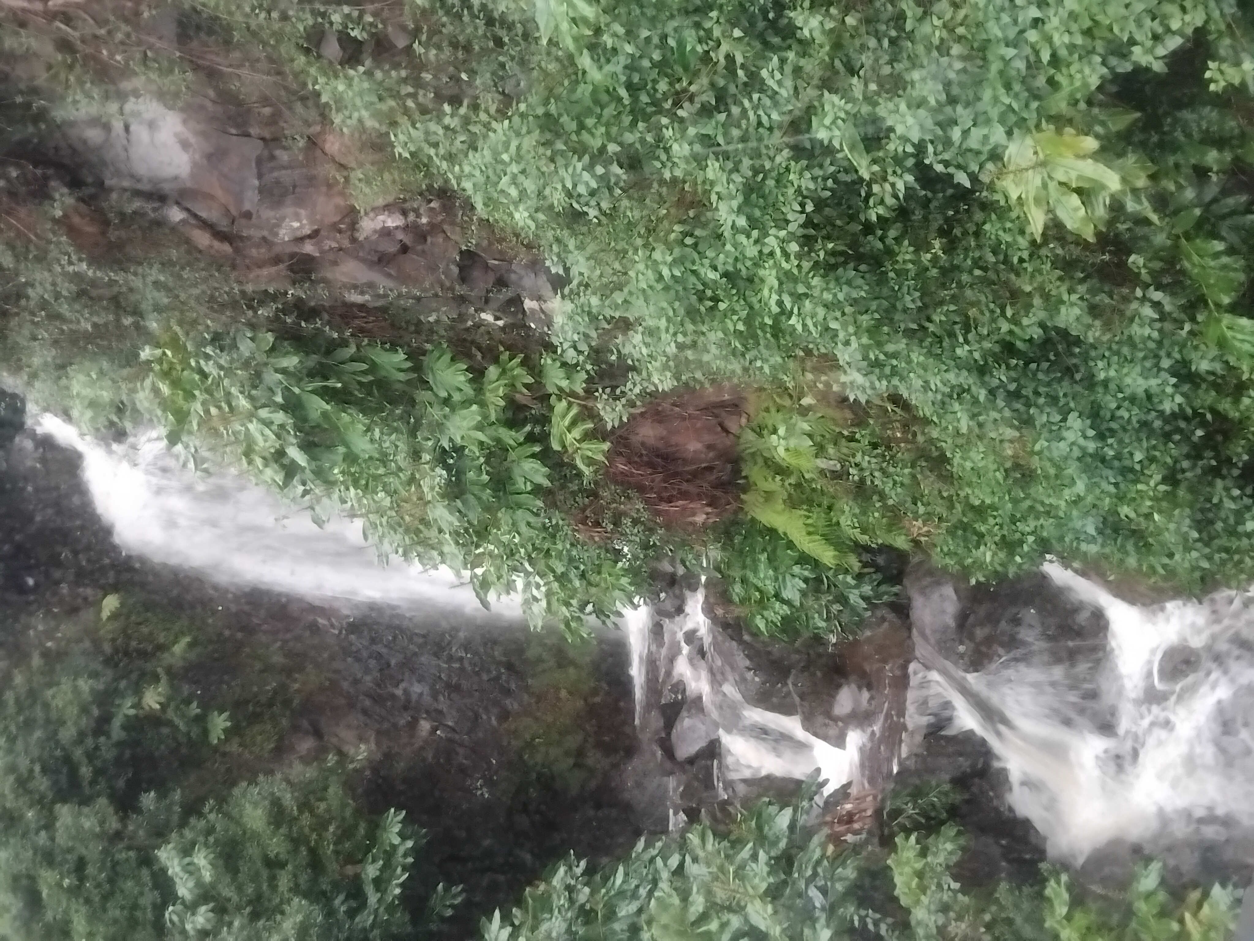 Pico, Faial  e São Jorge  7 a 10 de Outubro