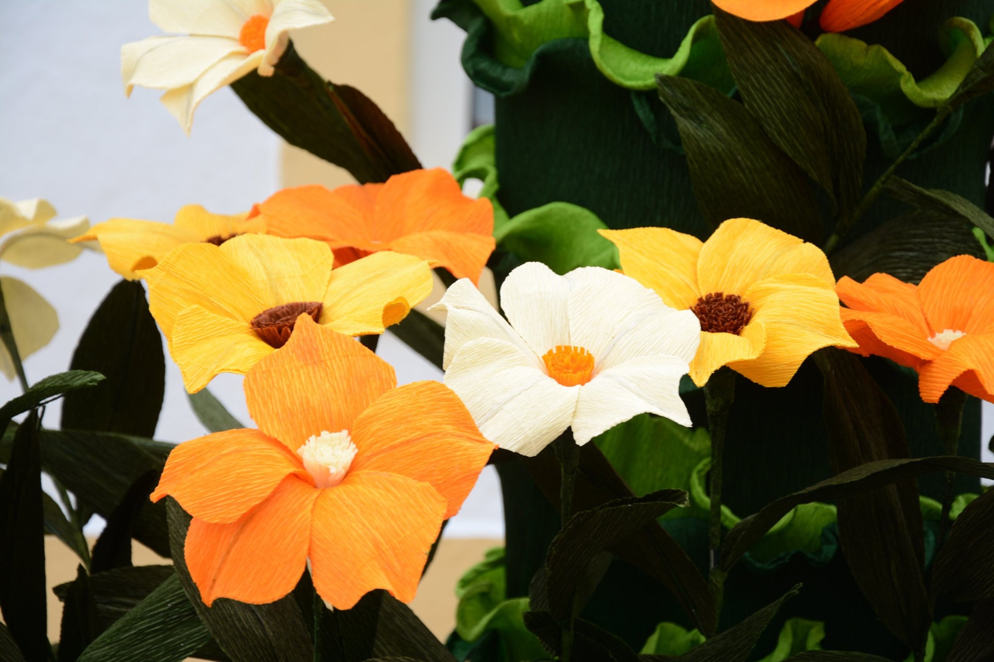 Festa do Povo - Campo Maior   9 de agosto