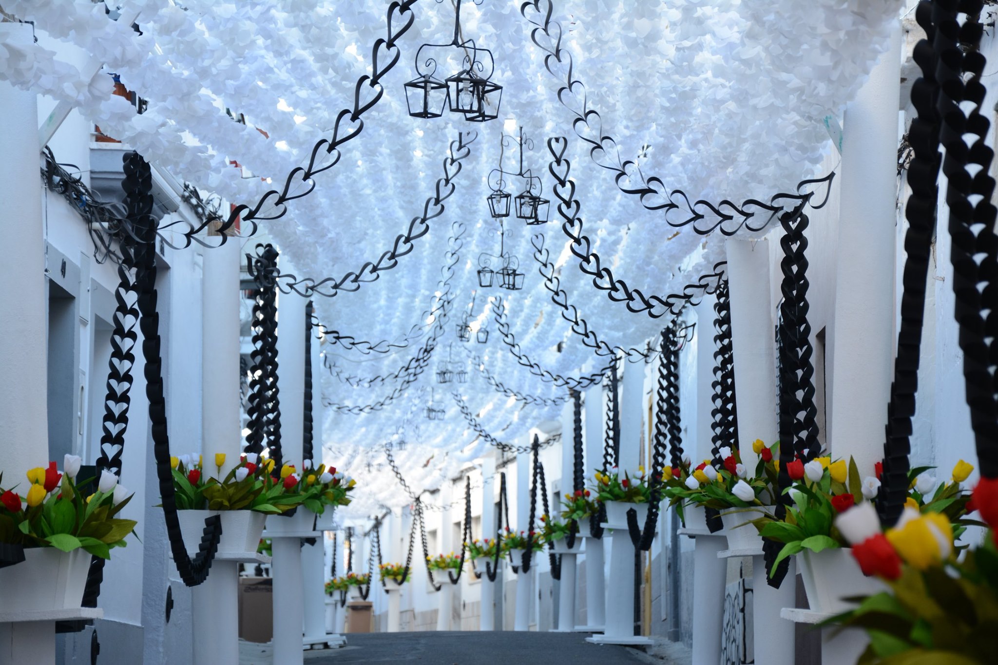 Festa do Povo - Campo Maior   9 de agosto