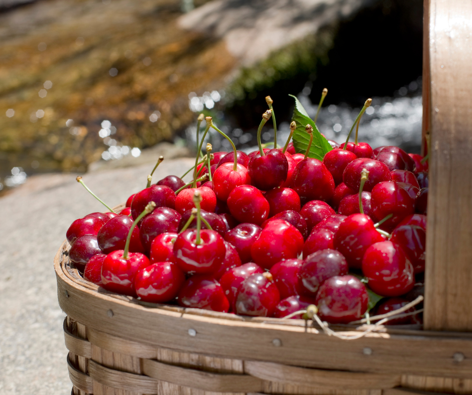 Cerejas Valle Del Jerte 23 a 24 de Maio 