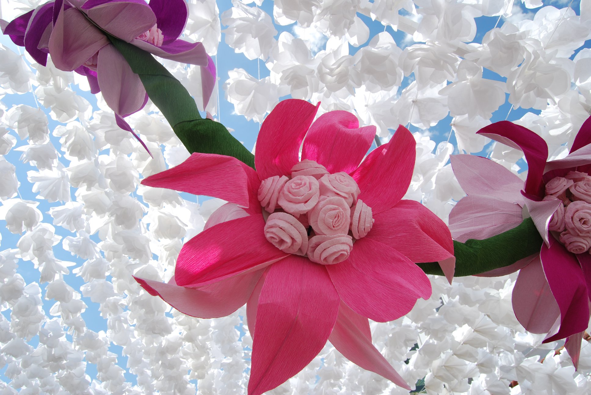 Festa do Povo - Campo Maior   9 de agosto