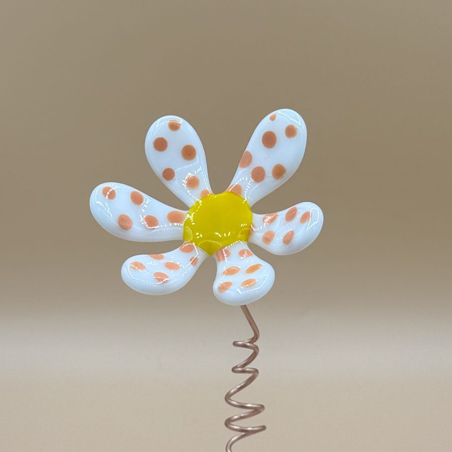 Fused Glass - Whimsy Flower F011