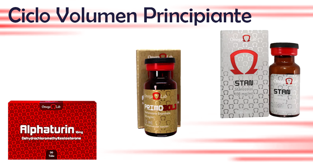 Ciclo Volumen Principiante