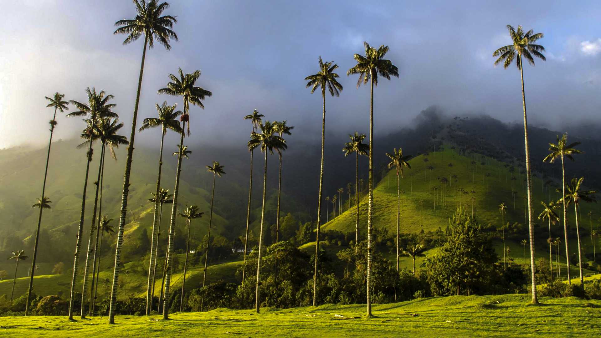 Private Tour Eje Cafetero
