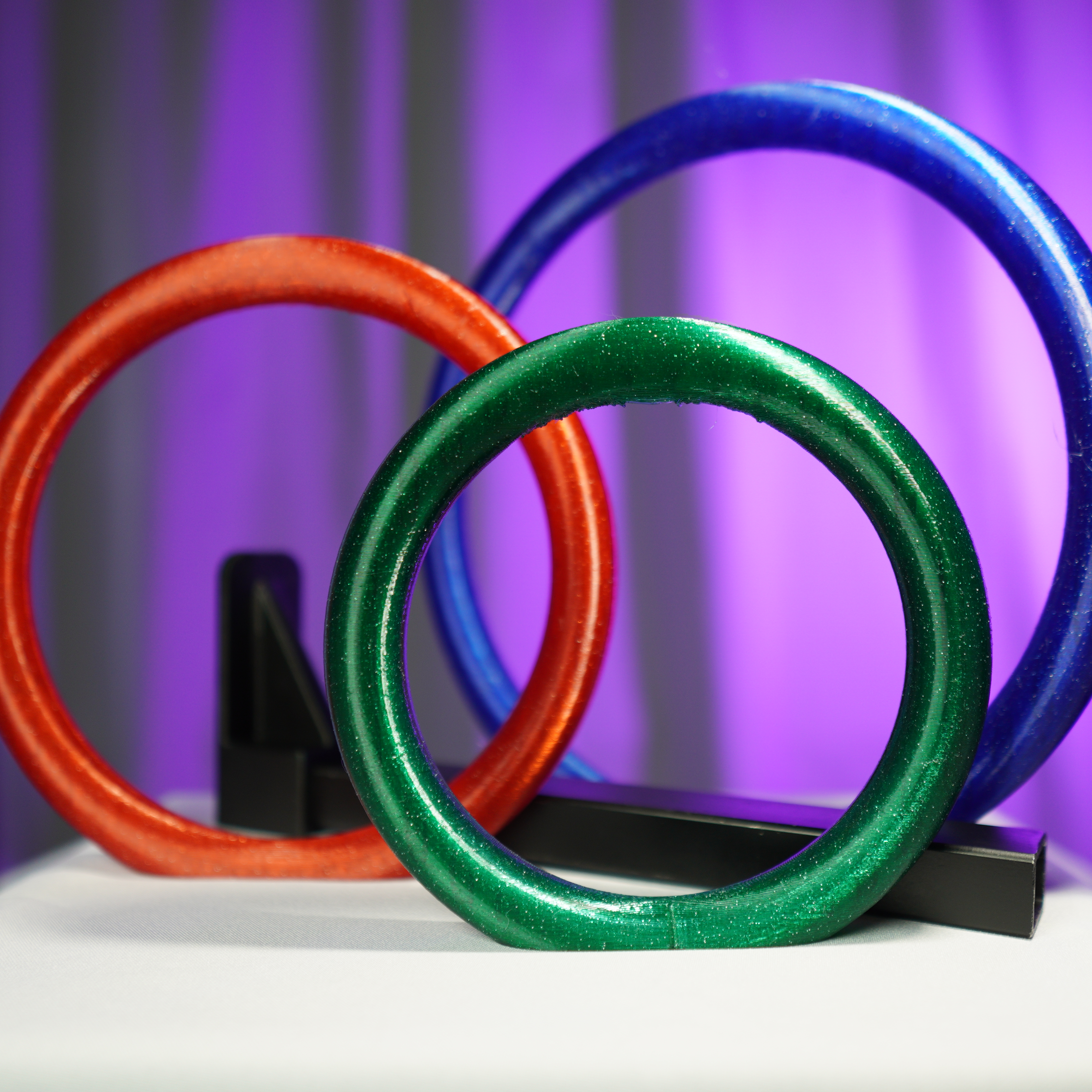 SET - rings with a holder for Working Equitation