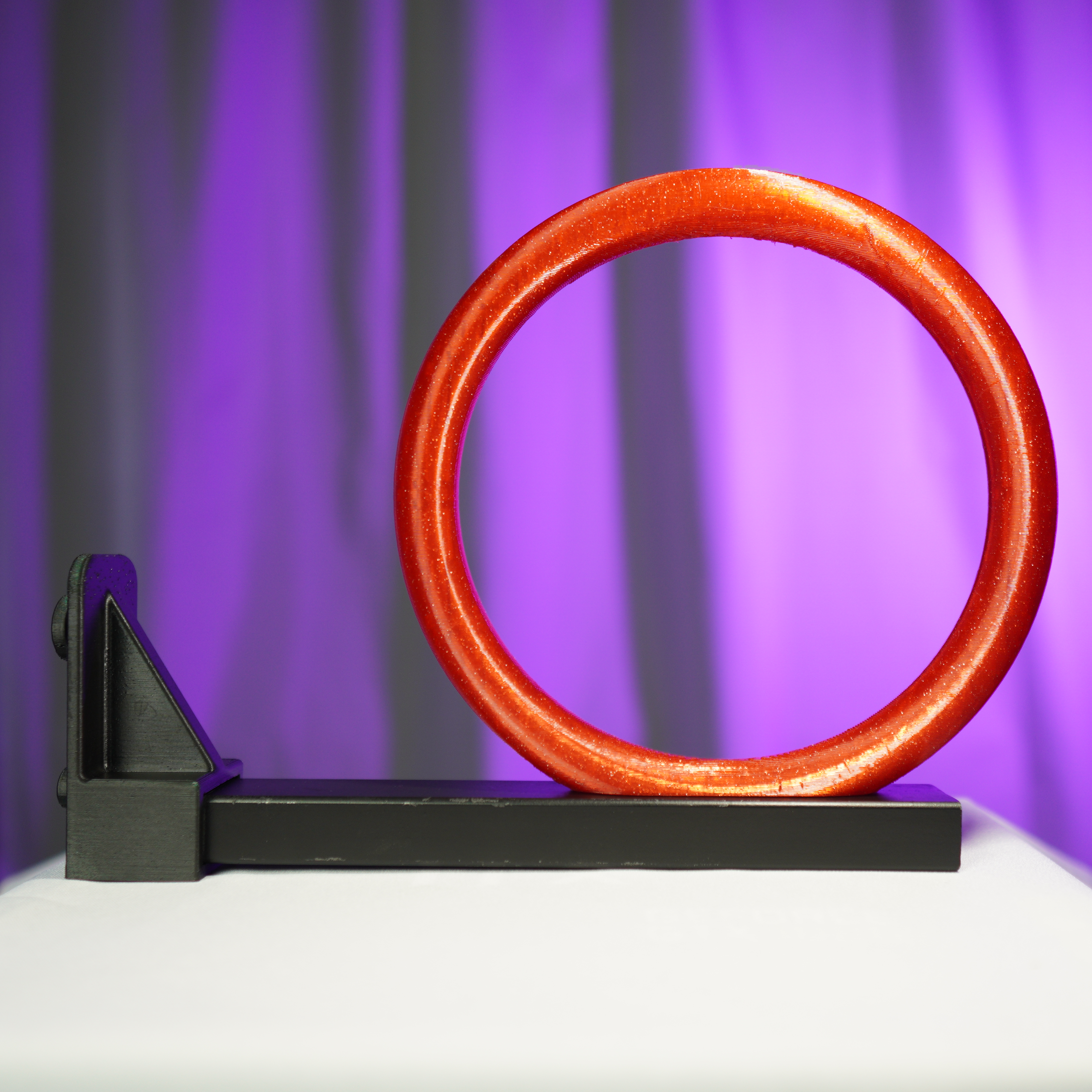SET - rings with a holder for Working Equitation