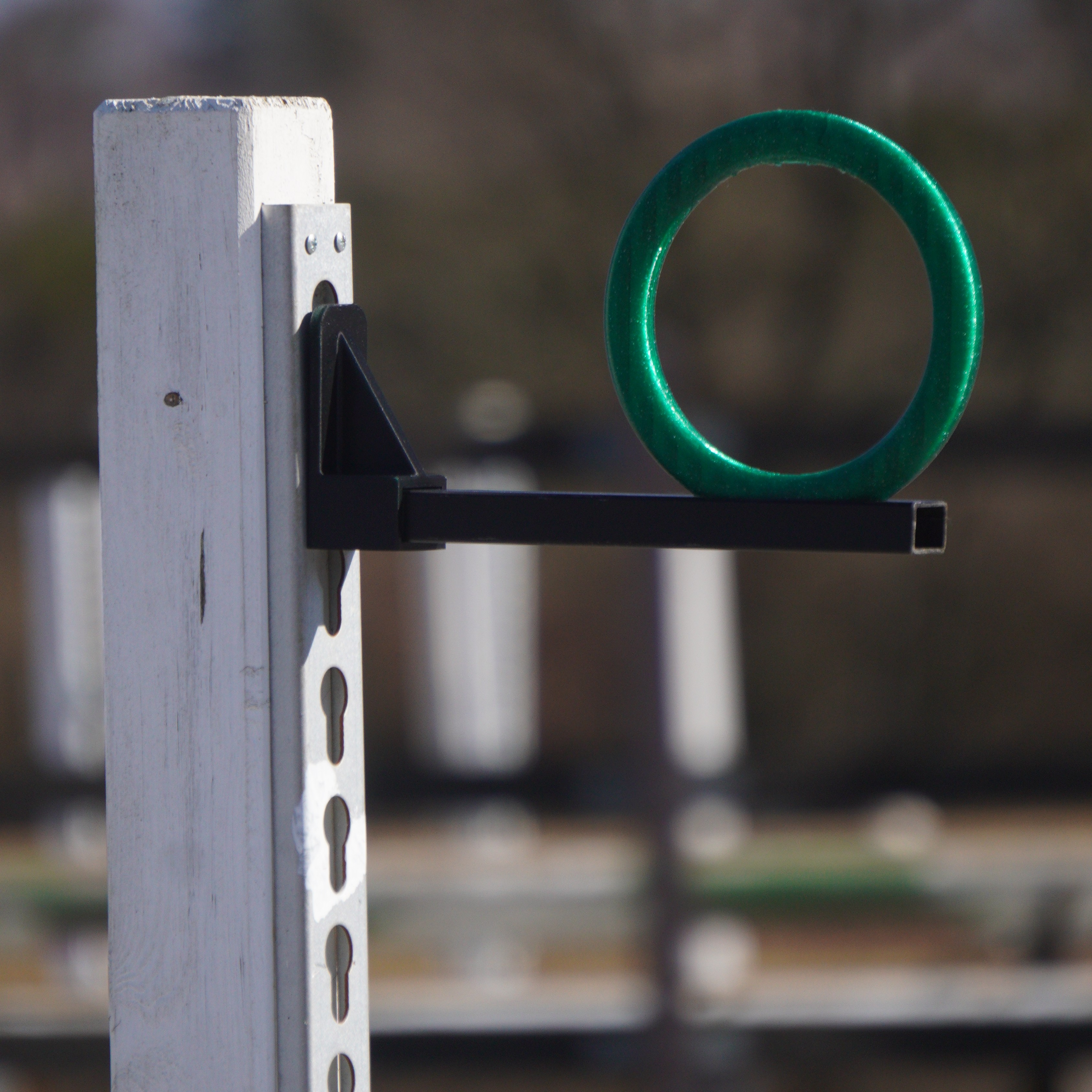 SET - rings with a holder for Working Equitation