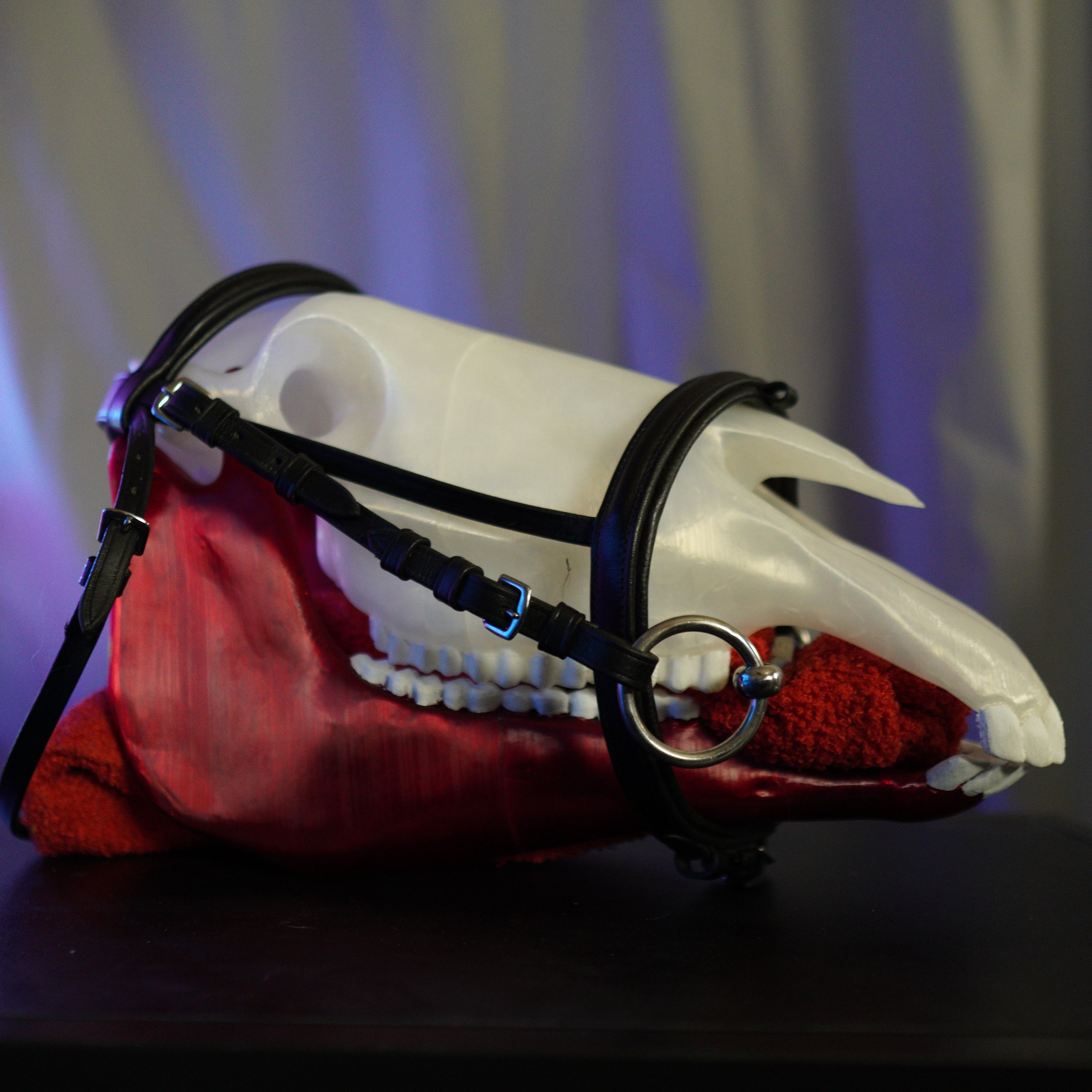 Realistic 3D-Printed Horse Head Model